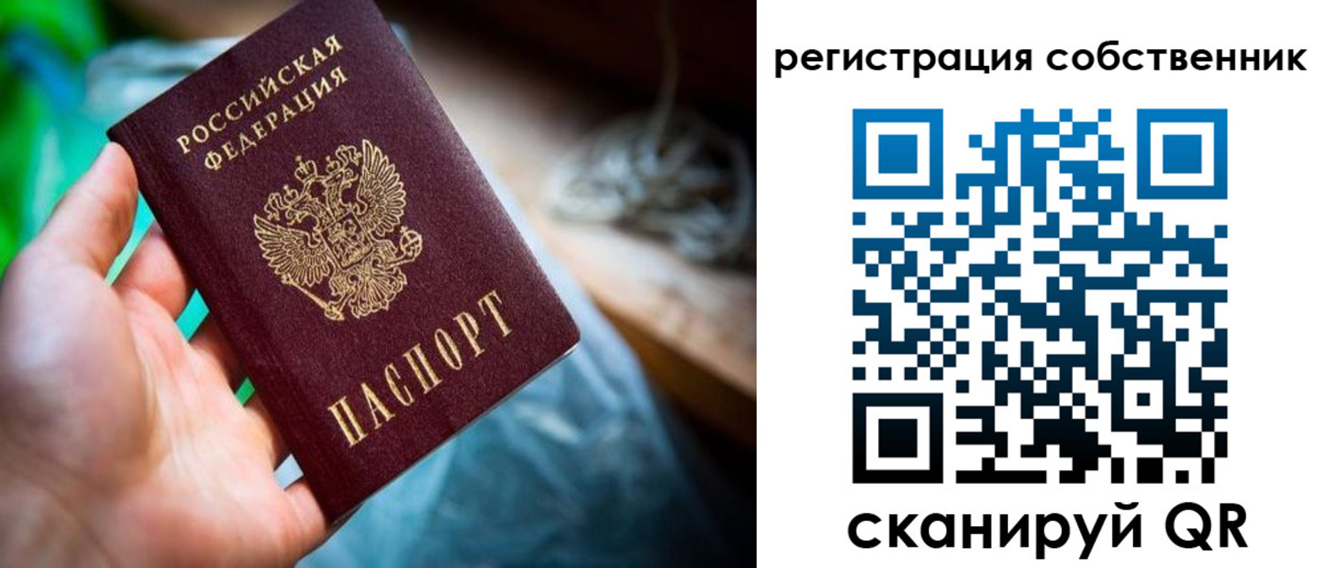 прописка гарантия в Волосово